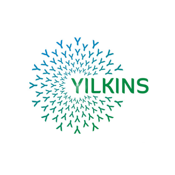 Logo Yilkins