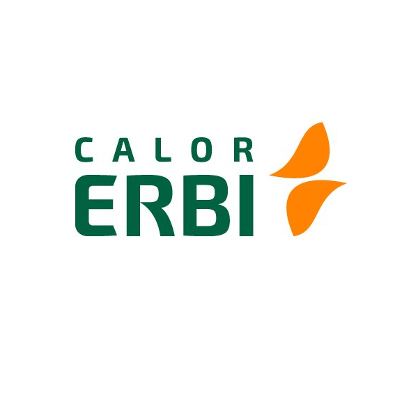 Logo erbi