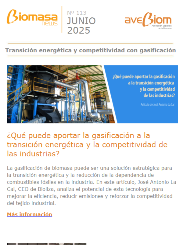 Biomasa news 113