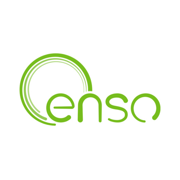 Logo Enso