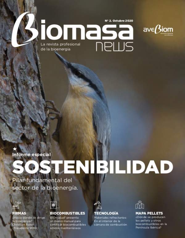Portada revista Biomasa News octubre 2020 AVEBIOM