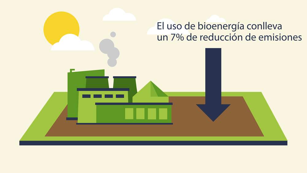 ciclo carbono y biomasa sostenible