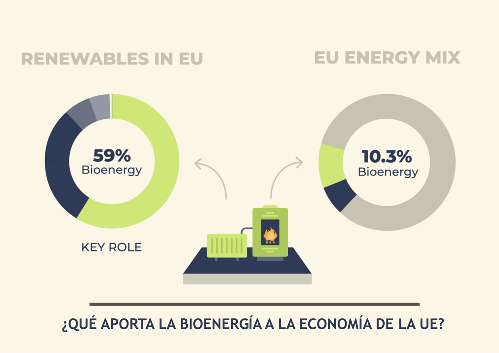 que aporta la bioenergia a la economia en la UE