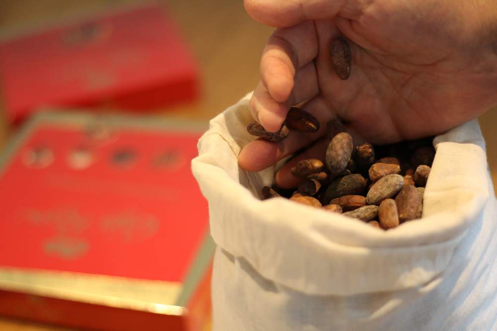 energia de la biomasa del cacao Nestle Bioenergy Iberica