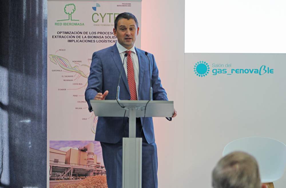 Luis Puchades vice de AEBIG en CIB21 sesiones de gas renovable