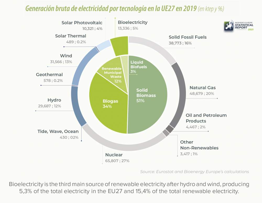 bioelectricidad en la UE27 estadisticas de Bioenergy Europe 2021