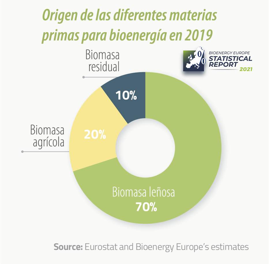 origen de la materia prima biomasa para energia en la UE 2021