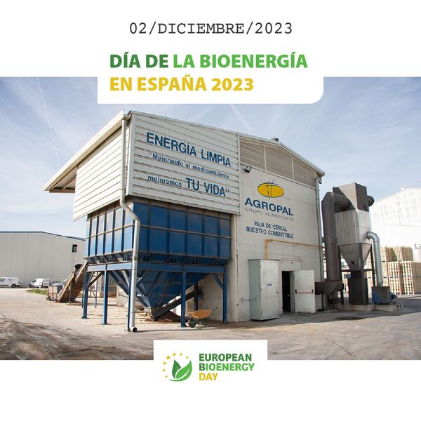 dia bioenergia 2023 espana agropal pellet paja sustituye a gas natural