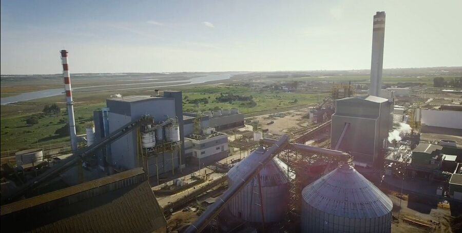planta de biomasa de magnon en Huelva 