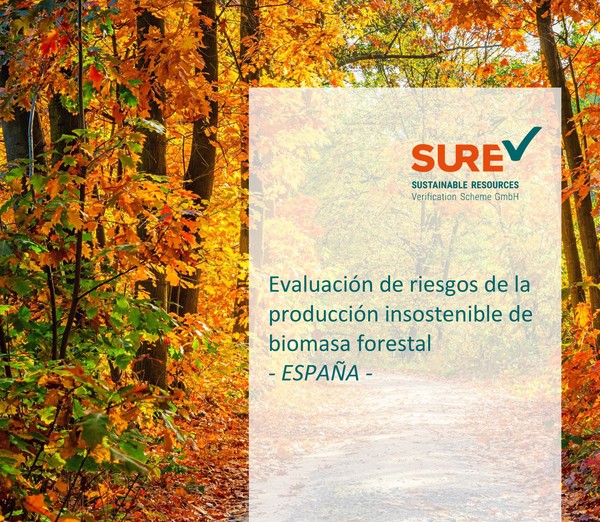 Consulta pública: Evaluación de riesgos en la producción sostenible de biomasa forestal en España