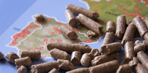 mapa de españa con pellets encima