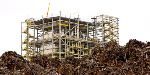 Construccion planta greenalia