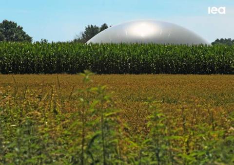 Biogas y biometano en 2040. Previsiones de la IEA