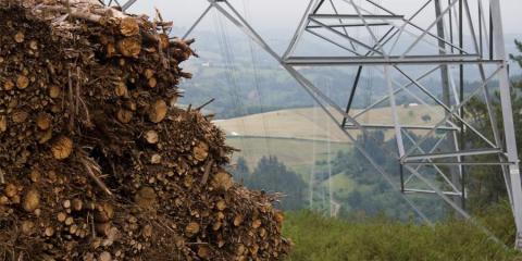 acopio de madera, biomasa para generar electricidad