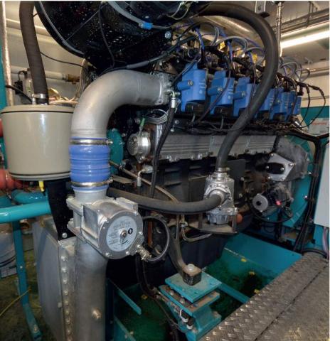motor cogeneracion biomasa