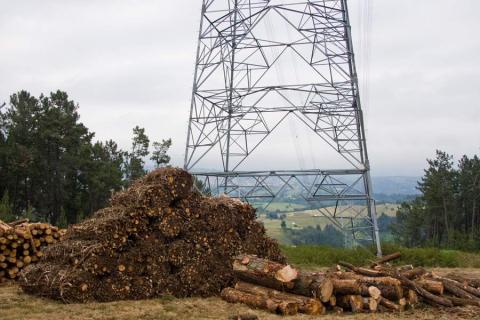 Biomasa en Tineo Asturias