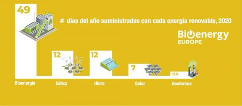 Dia bioenergia 2020 por tecnologias renovables