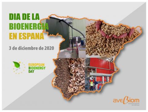 Día de la Bioenergia 2020 en España