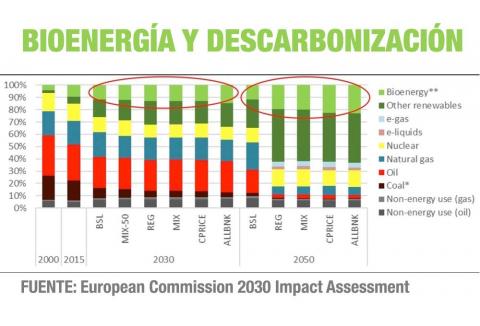 bioenergia biomasa y desarbonizacion 2030 y 2050 en la UE