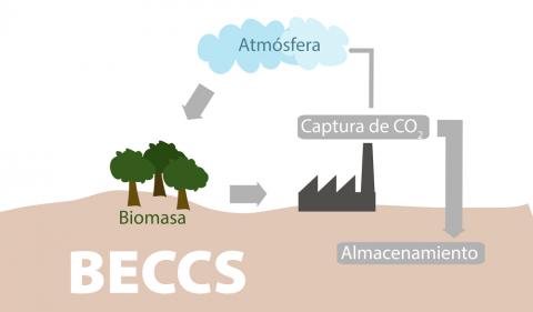 BECCS bioenergia y captura carbono