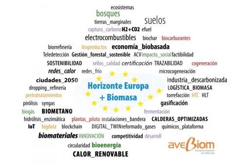 horizonte europa y biomasa AVEBIOM