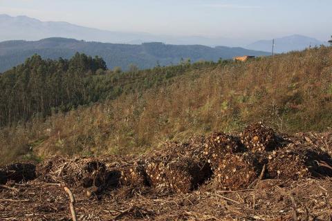 subvenciones biomasa cantabria ene22