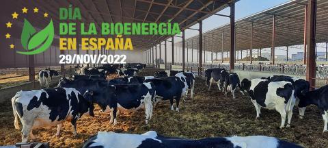Dia de la bioenergía en España 2022 29 noviembre