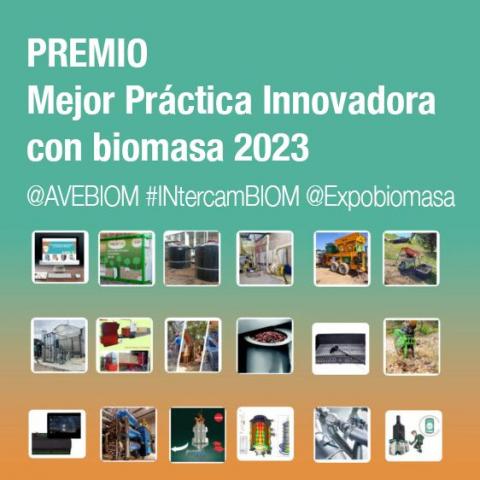votacion premio mejor practica innovadora con biomasa 2023