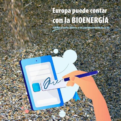 firma carta abierta biomasa para parlamentarios UE