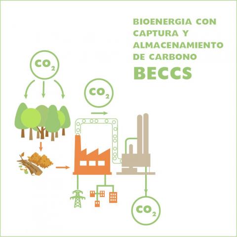 BECCS bioenergia con captura y almacenamiento de carbono AVEBIOM