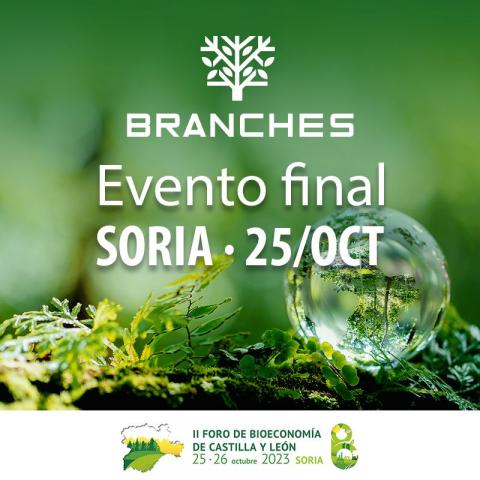Evento final BRANCHES 25 oct 2023