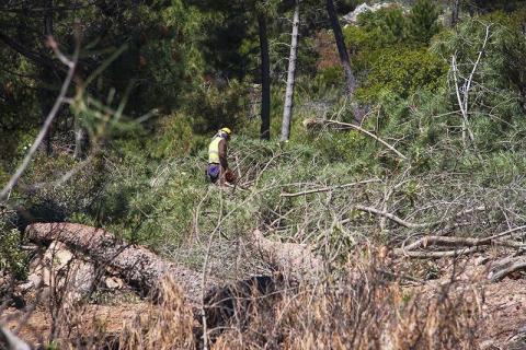 Enfrentando los grandes incendios forestales en Europa mediterránea con bioenergía sostenible