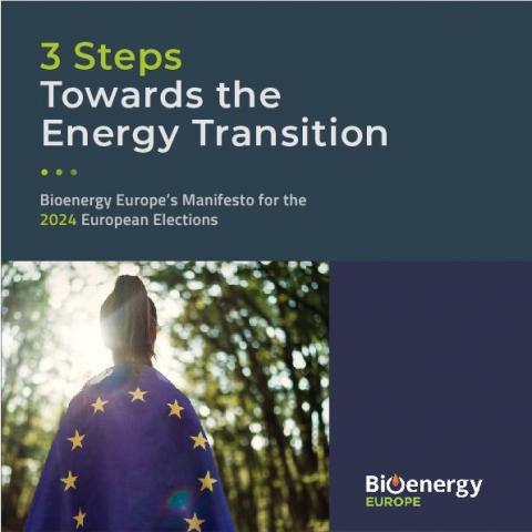 Manifiesto bioenergy europe elecciones 2024