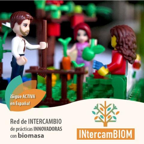 la red de intercambio e innovacion en biomasa intercambiom continua en españa gracias a avebiom