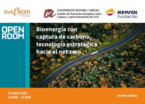 seminario BECCS repsol avebiom enso magnon