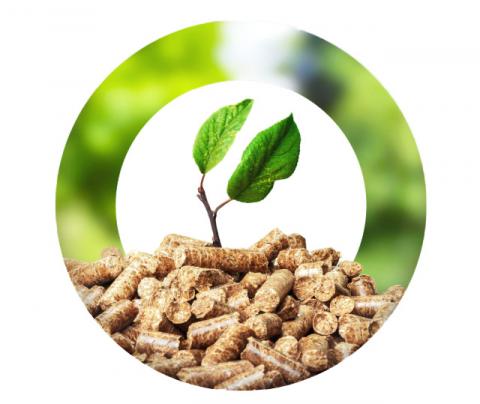 informe pellets bioenergy europe 2025