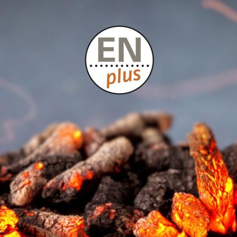 pellet enplus reconocido por EA