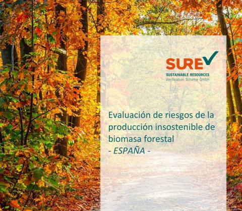 Consulta pública: Evaluación de riesgos en la producción sostenible de biomasa forestal en España