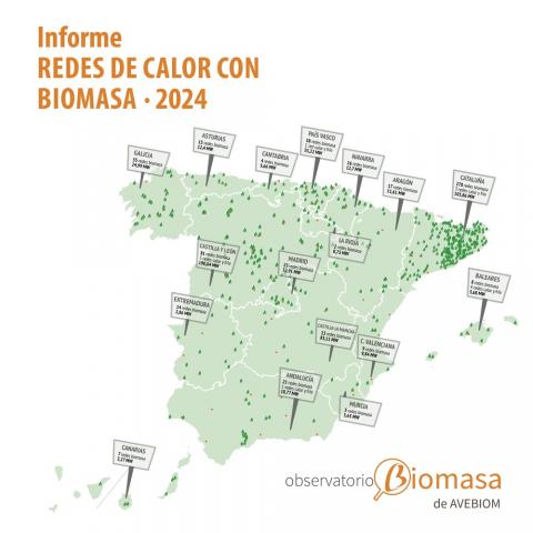 informe redes calor biomasa 2024 publicado en 2025
